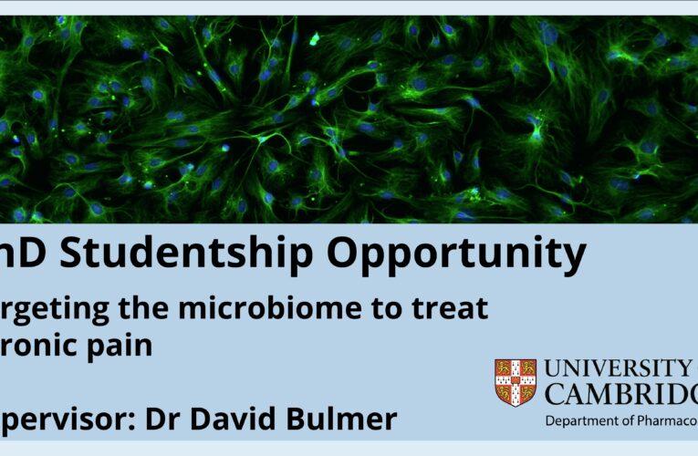 PhD Studentship in Targeting the Microbiome to Treat Chronic Pain, UK